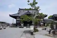 東光寺の本殿・本堂