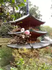 岩船寺の建物その他