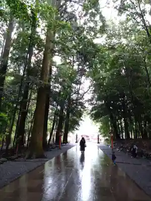 霧島神宮(鹿児島県)