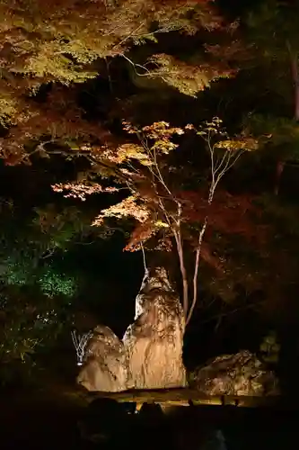 宝厳院(京都府)