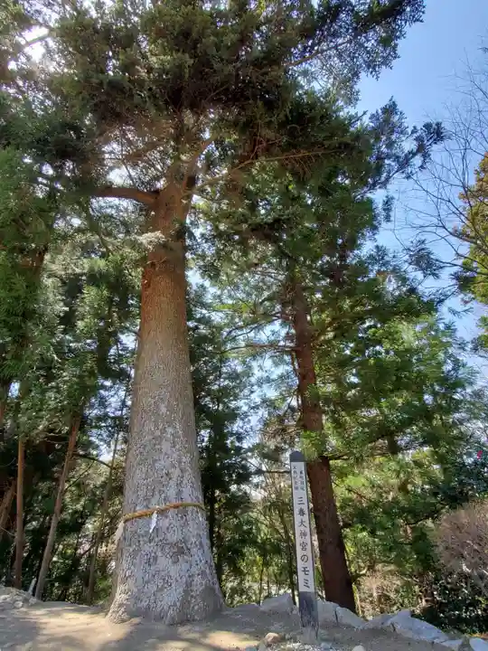 三春大神宮の自然