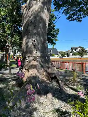 生島足島神社(長野県)