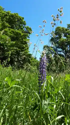 濃昼神社の自然