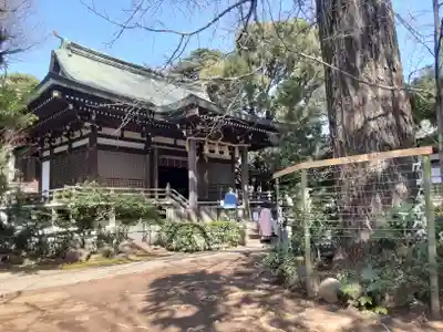 奥澤神社(東京都)