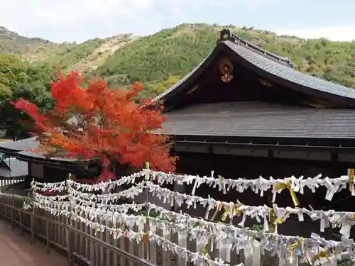 鹿嶋神社のおみくじ