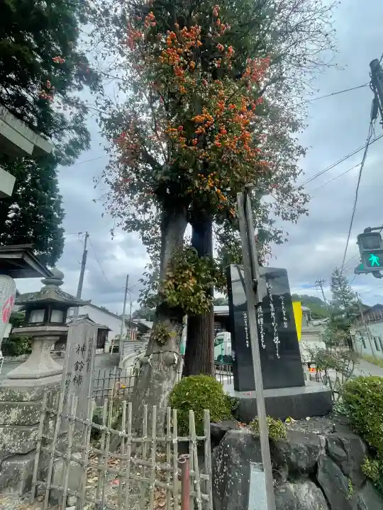 新宮神社(滋賀県)