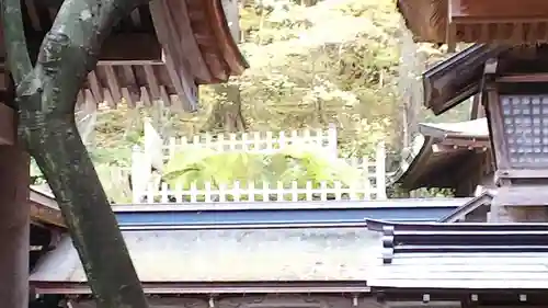 諏訪大社(長野県)