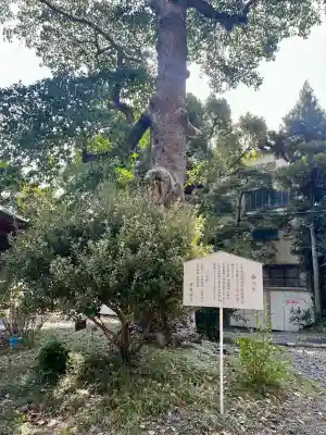 前島神社(静岡県)