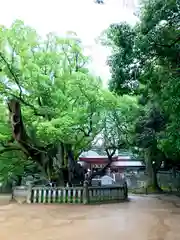 大山祇神社(愛媛県)