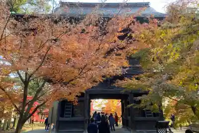 淨眞寺の山門・神門