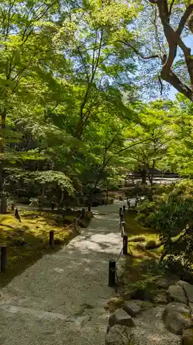 圓光寺(京都府)