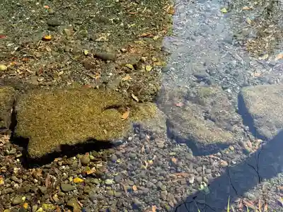 富士山本宮浅間大社(静岡県)