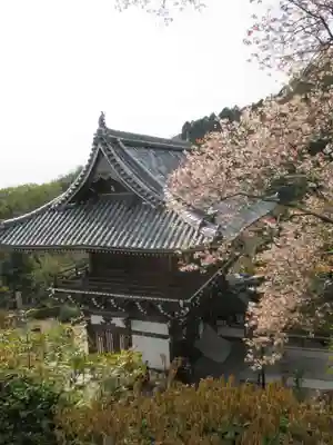善峯寺の本殿・本堂