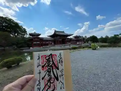 頂いた御朱印と平等院鳳凰堂のツーショット