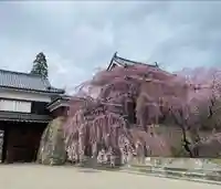 眞田神社(長野県)