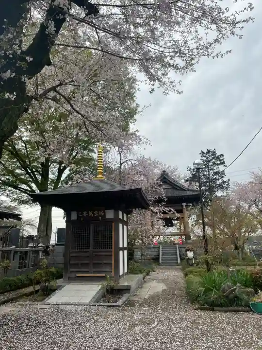 永光寺(牡丹不動尊) の{uncategorized: "未分類", other: "その他", undefined: "問題あり", building: "その他建物", grave: "お墓", sacred_gate: "鳥居", guardian: "狛犬", statue: "像", buddha: "仏像", history: "歴史", nature: "自然", garden: "庭園", animal: "動物", pagoda: "塔", temizu: "手水舎", mountain_gate: "山門・神門", sanctuary: "本殿・本堂", subordinate: "末社・摂社", art: "芸術", scenery: "景色", jizo: "地蔵", ema: "絵馬", goshuin: "御朱印", omikuji: "おみくじ", items: "授与品その他", amulet: "お守り", goshuincho: "御朱印帳", eats: "食事", festival: "お祭り", votive_dance: "神楽", shichigosan: "七五三参", wedding: "結婚式", experience: "体験その他", initially: "初詣", around: "周辺", anti_infection: "感染症対策"}