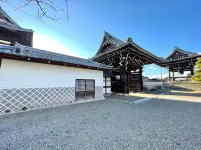 善照寺(滋賀県)