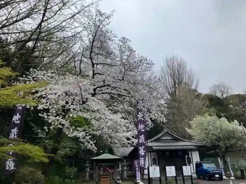 総持寺(神奈川県)