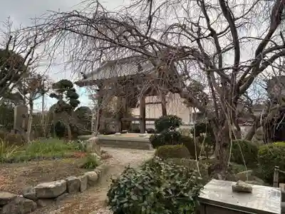 金龍寺(兵庫県)