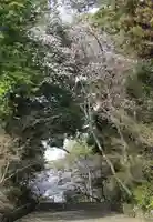 光明寺(粟生光明寺)(京都府)