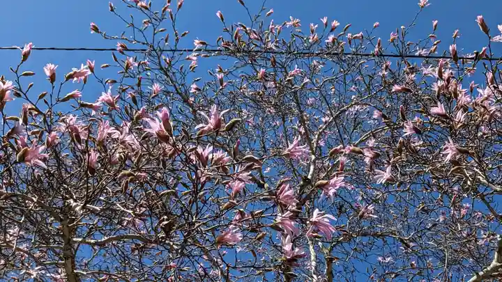 熊野若王子神社(京都府)
