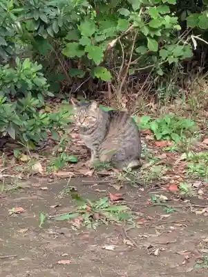 白幡八幡神社(神奈川県)