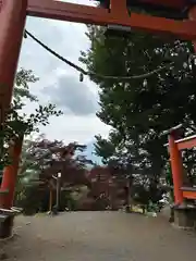 新倉富士浅間神社(山梨県)