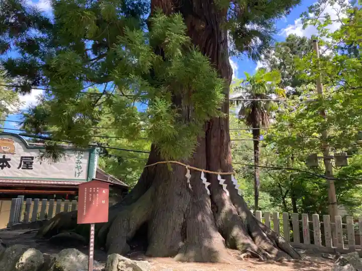 筑波山神社(茨城県)