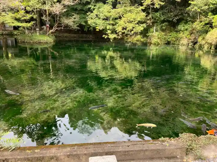 磯山弁財天(栃木県)