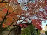 光悦寺(京都府)