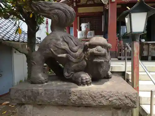 千住本氷川神社の狛犬