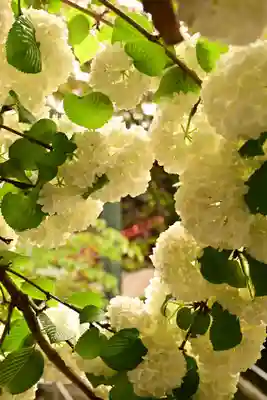 久能山東照宮(静岡県)