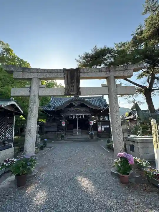 大麻比古神社(徳島県)