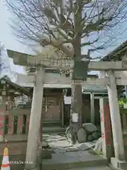 於咲稲荷神社・波除（浪除）稲荷神社の鳥居