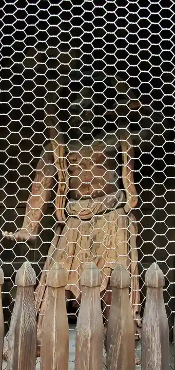 高幡不動尊 金剛寺の像