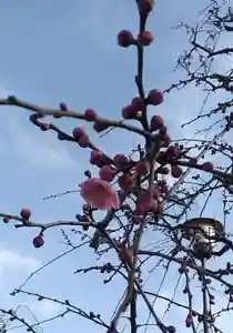 比佐豆知神社(三重県)(2023年02月13日(月) 09時15分23秒投稿)