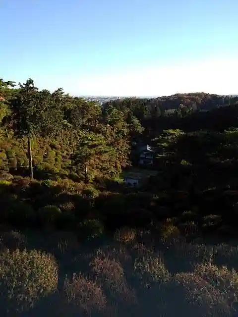 塩船観音寺の庭園