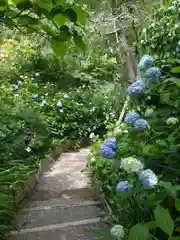 明月院(神奈川県)