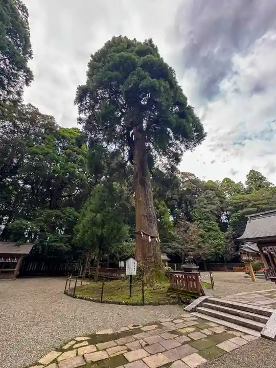 狭野神社(宮崎県)
