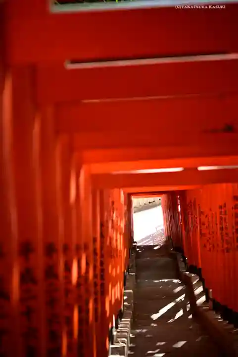 日枝神社の鳥居