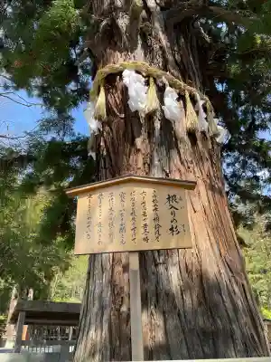 諏訪大社下社秋宮の{uncategorized: "未分類", other: "その他", undefined: "問題あり", building: "その他建物", grave: "お墓", sacred_gate: "鳥居", guardian: "狛犬", statue: "像", buddha: "仏像", history: "歴史", nature: "自然", garden: "庭園", animal: "動物", pagoda: "塔", temizu: "手水舎", mountain_gate: "山門・神門", sanctuary: "本殿・本堂", subordinate: "末社・摂社", art: "芸術", scenery: "景色", jizo: "地蔵", ema: "絵馬", goshuin: "御朱印", omikuji: "おみくじ", items: "授与品その他", amulet: "お守り", goshuincho: "御朱印帳", eats: "食事", festival: "お祭り", votive_dance: "神楽", shichigosan: "七五三参", wedding: "結婚式", experience: "体験その他", initially: "初詣", around: "周辺", anti_infection: "感染症対策"}