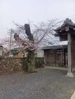 曼陀羅寺(愛知県)
