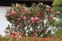 大鏑神社の庭園