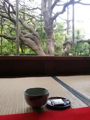 宝泉院(京都府)