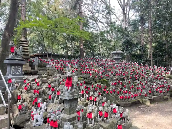 豊川閣 妙厳寺の狛犬