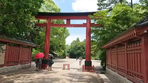 武蔵一宮氷川神社の鳥居