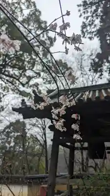 十輪寺(京都府)