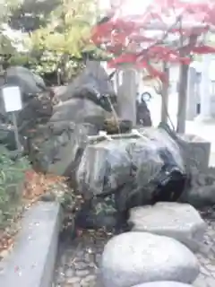 松戸神社の自然