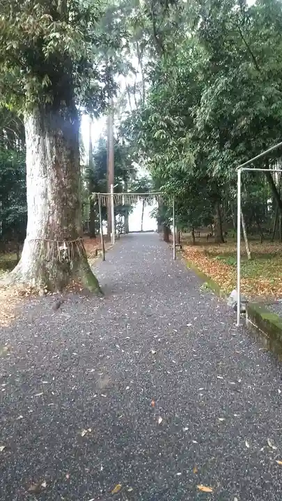 大己貴神社(福岡県)
