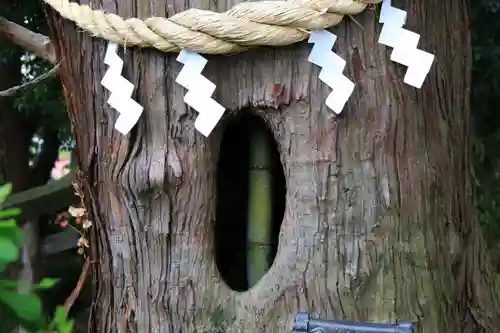 阿久津「田村神社」（郡山市阿久津町）旧社名：伊豆箱根三嶋三社の自然